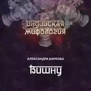 Постер книги Вишну