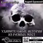 Постер книги Удивительные истории из разных мест. Книга  1