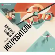 Постер книги Истребитель