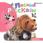 Постер книги Лесные рассказы