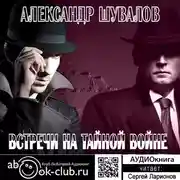 Постер книги Встречи на тайной войне