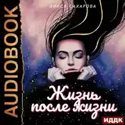 Постер книги Жизнь после Жизни