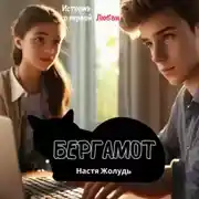 Постер книги Бергамот