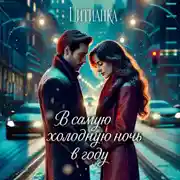 Постер книги В самую холодную ночь в году