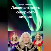 Постер книги Лиминальность северного сияния