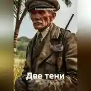 Постер книги Две тени