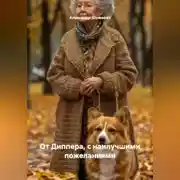 Постер книги От Диппера, с наилучшими пожеланиями.