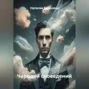 Постер книги Чародей сноведений