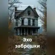 Постер книги Эхо заброшки