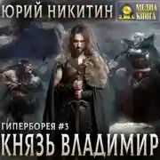 Постер книги Князь Владимир