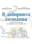 Валентина Сильва - В лабиринте сознания: Иллюcтрированный путеводитель по психиатрии