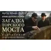 Постер книги Загадка Торского моста