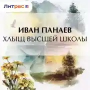 Постер книги Хлыщ высшей школы