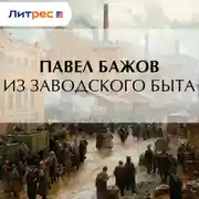 Постер книги Из заводского быта