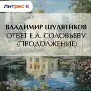 Постер книги Ответ Е.А. Соловьеву (продолжение)