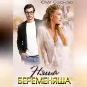 Постер книги Няша-беременяша