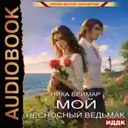 Постер книги Мой несносный ведьмак
