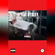 Постер книги Сбитые кулаки