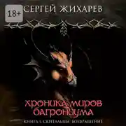 Постер книги Хроника миров Багрониума. Книга 1. Скитальцы. Возвращение