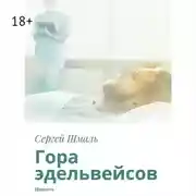 Постер книги Гора эдельвейсов. Повесть