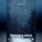 Постер книги Замок у леса