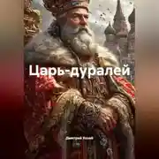 Постер книги Царь дуралей