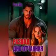 Постер книги Развод. Дно отчаяния