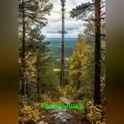 Постер книги Телевышка