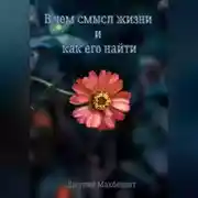 Постер книги В чем смысл жизни и как его найти