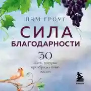 Постер книги Сила благодарности