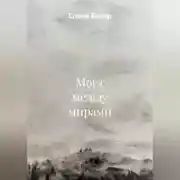 Постер книги Мост между мирами