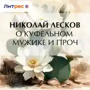 Постер книги О куфельном мужике и проч.