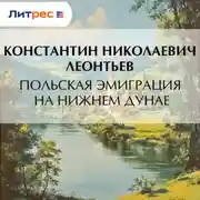 Постер книги Польская эмиграция на нижнем Дунае
