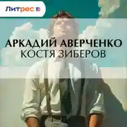 Постер книги Костя Зиберов