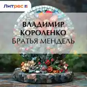 Постер книги Братья Мендель