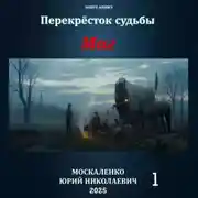 Постер книги Маг. Книга первая