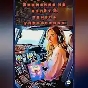 Постер книги Внимание на взлёт 2: панель управления