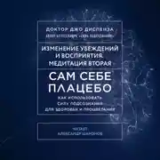 Постер книги Сам себе плацебо: Медитация 2. Изменение убеждений и восприятия