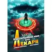 Постер книги Идеальный мир для Лекаря 28