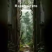 Постер книги Я слышал это ночью