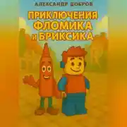 Постер книги Приключения Фломика и Бриксика.