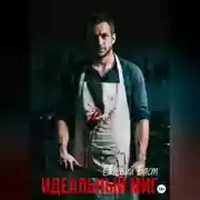 Постер книги Идеальный миг