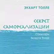 Постер книги Секрет самореализации