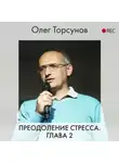 Олег Торсунов - Преодоление стресса. Глава 2