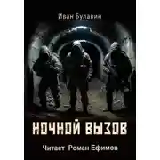Постер книги Ночной вызов