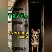 Постер книги Тайна каменной башни