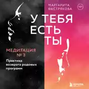 Постер книги У тебя есть ты. Медитация 3. Практика возврата родовых программ