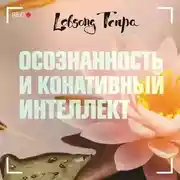 Постер книги Осознанность и конативный интеллект