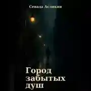 Постер книги Город Забытых Душ