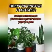 Постер книги Энергия цветов работает: какие комнатные растения притягивают удачу в дом